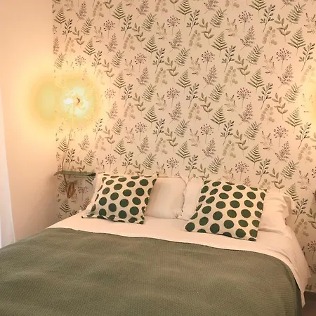 Delmirani's Book - Vatican View רומא