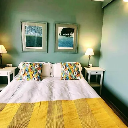 Delmirani's Book - Vatican View *