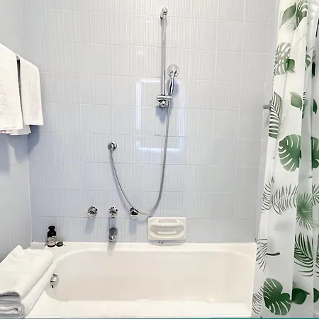 Delmirani's Book - Vatican View רומא