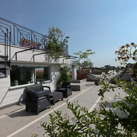 Delmirani's Book - Vatican View * רומא